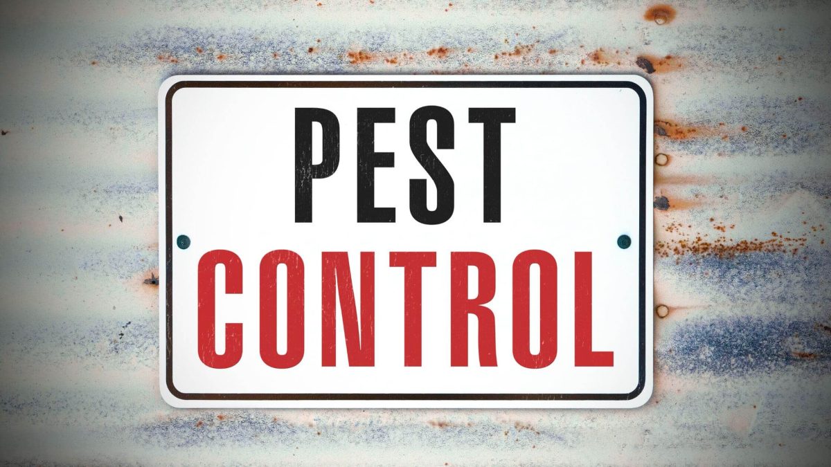 The Importance of Regular Pest Inspections