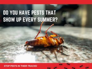 common summer pests