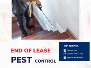 End of Lease Pest Control