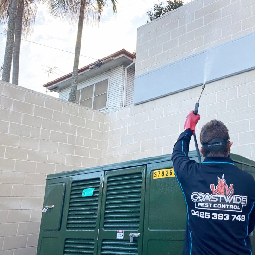Commercial Pest Control min Commercial Pest Control