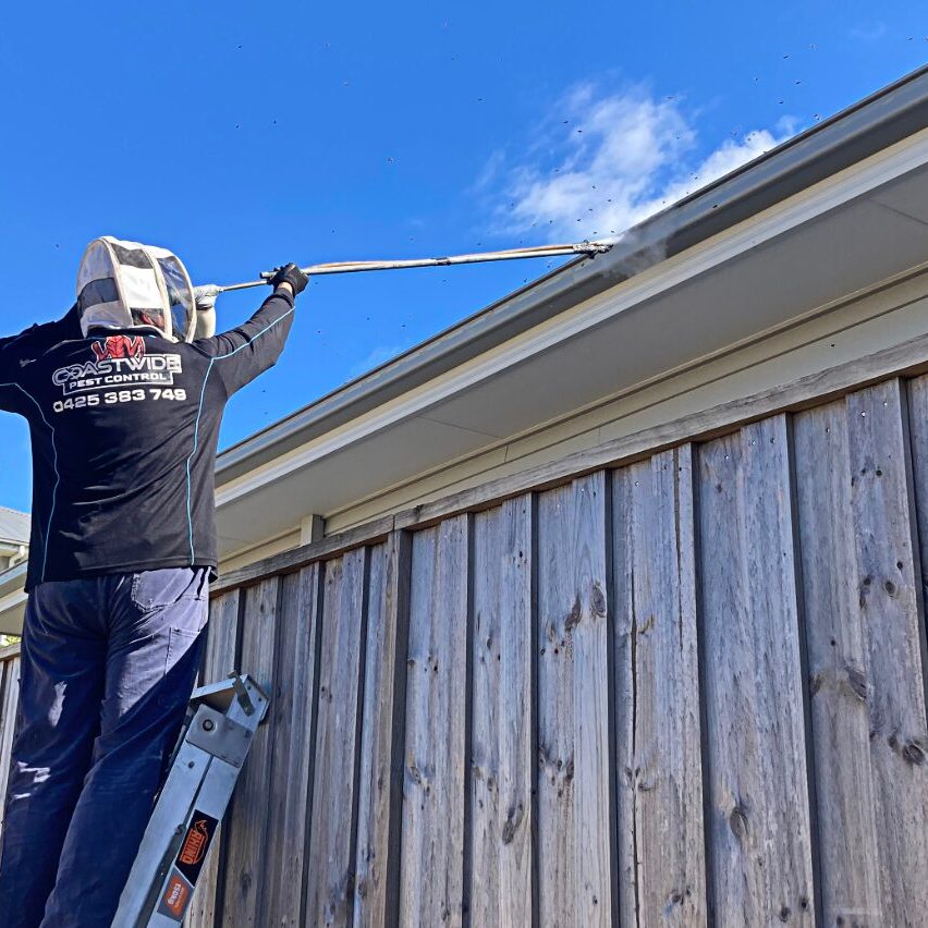 Residential Pest Control 1209 min Residential Pest Control
